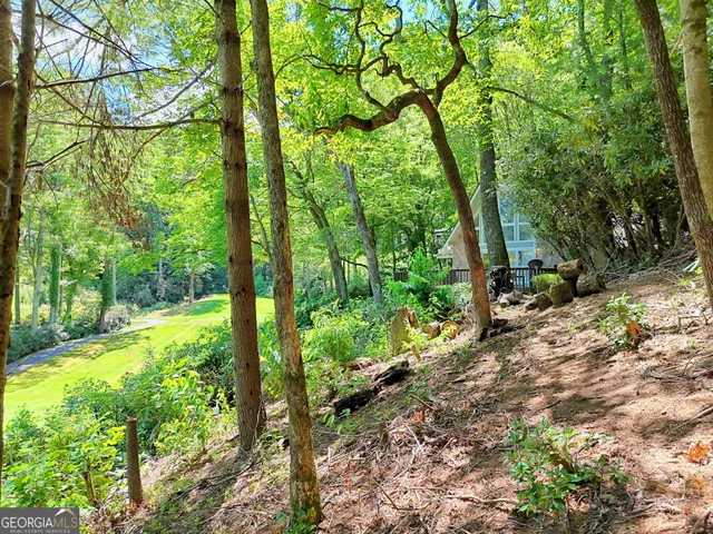 $464,000 | 850 Ridgepole Drive, Sky Valley, GA 30537