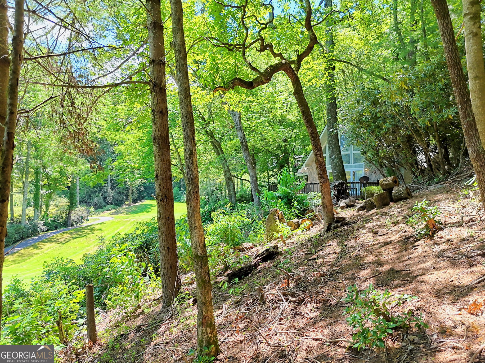 850 Ridgepole Drive Sky Valley, GA 30537 - Photo 72 of 73 a view of yard with green space