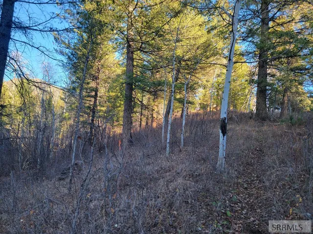 $175,000 | L13-b2 Cutthroat Run, Irwin, ID 83428