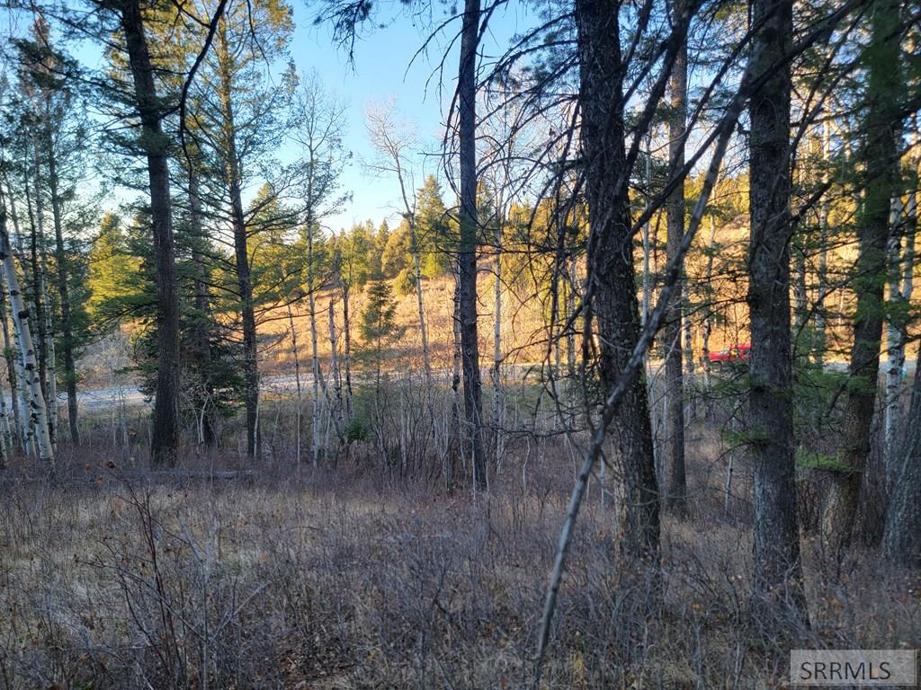 L13-b2 Cutthroat Run Irwin, ID 83428 - Photo 2 of 10