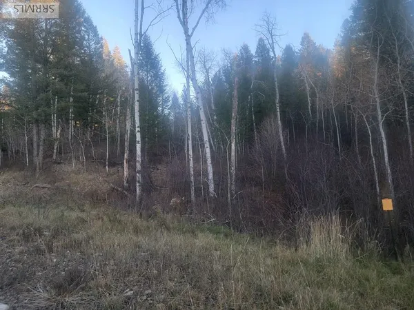 $175,000 | L13-b2 Cutthroat Run, Irwin, ID 83428