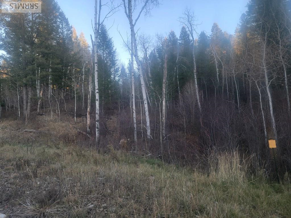 L13-b2 Cutthroat Run Irwin, ID 83428 - Photo 3 of 10