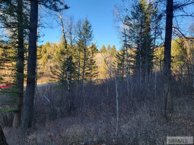 $175,000 | L13-b2 Cutthroat Run, Irwin, ID 83428