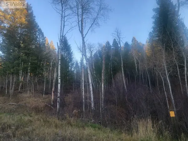 $175,000 | L13-b2 Cutthroat Run, Irwin, ID 83428