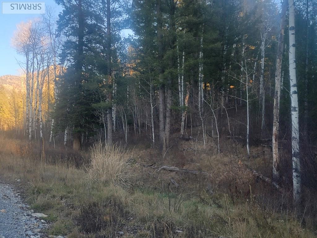 L13-b2 Cutthroat Run Irwin, ID 83428 - Photo 7 of 10