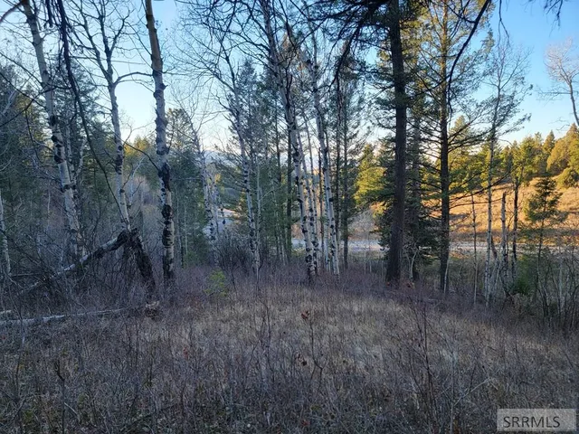 $175,000 | L13-b2 Cutthroat Run, Irwin, ID 83428