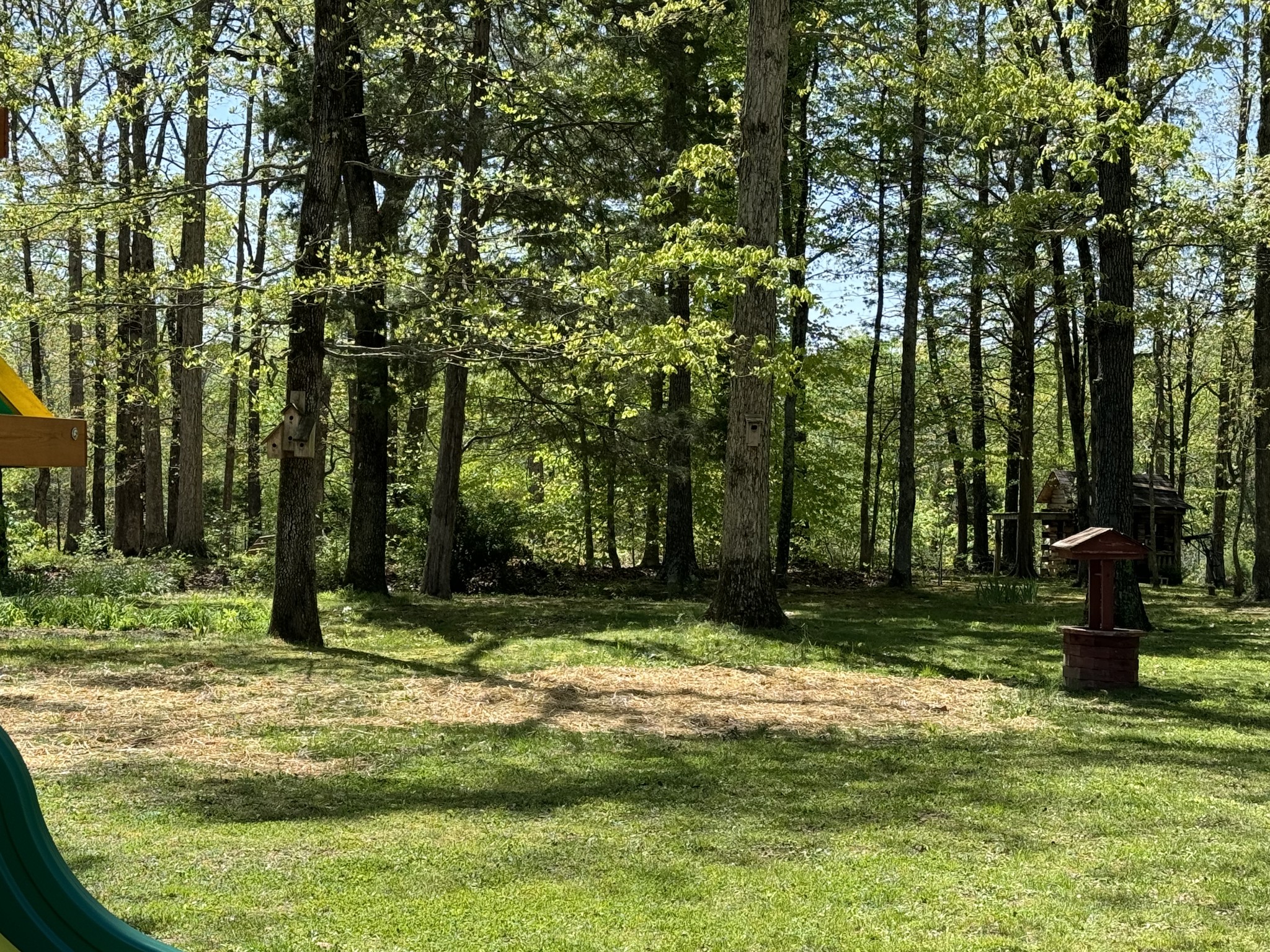 284 Baker Road Dickson, TN 37055 - Photo 14 of 36 a view of a park with large trees