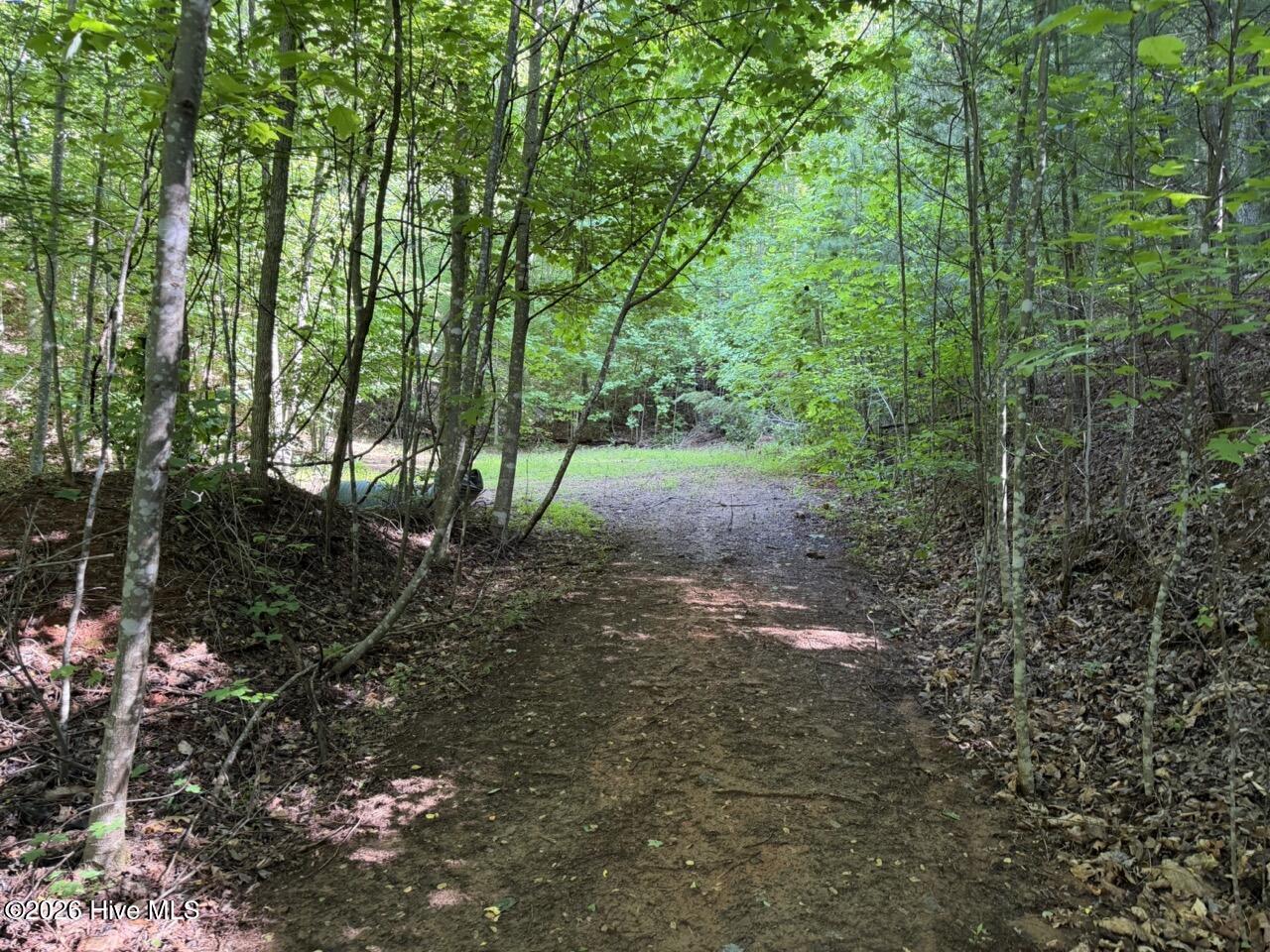 0 Ogreeta Road Murphy, NC 28906 - Photo 46 of 47
