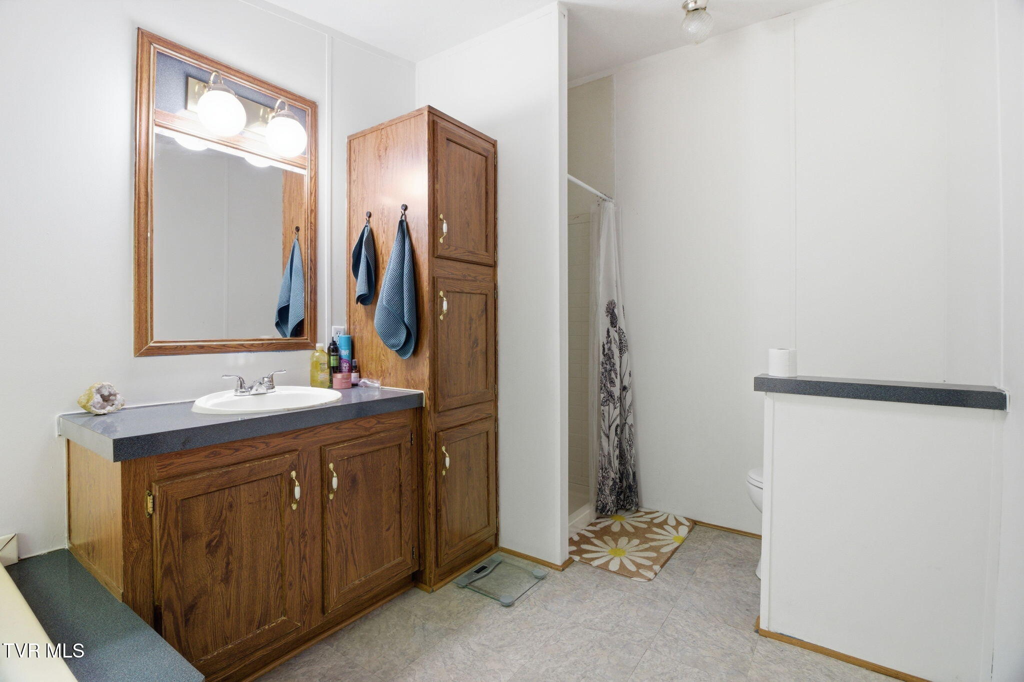 150 Carlton Ridge Lane Greeneville, TN 37745 - Photo 25 of 34 25-web-or-mls-DZ3A1829