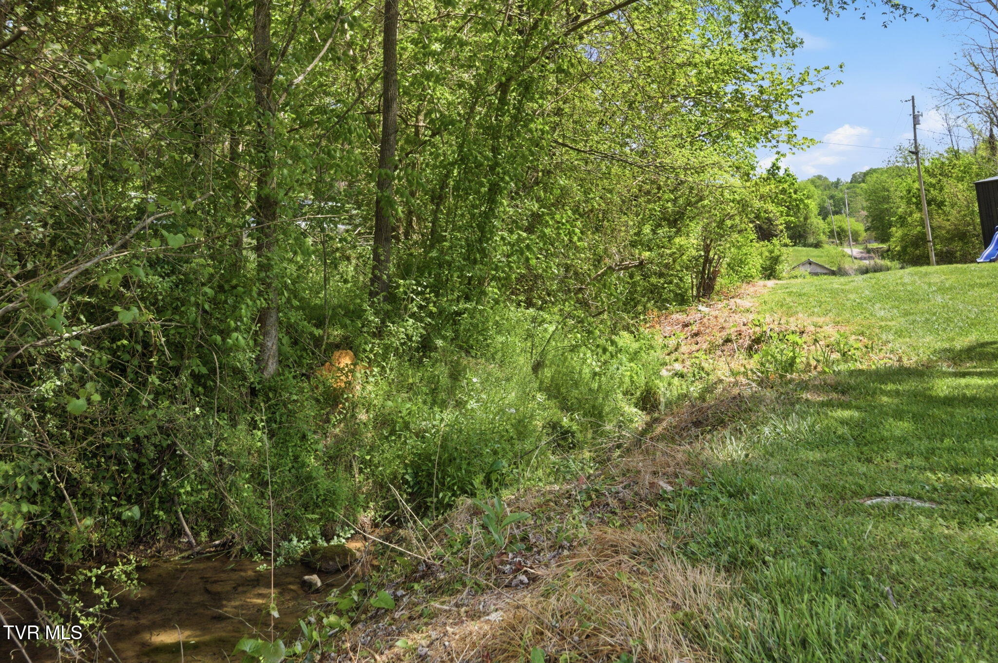 150 Carlton Ridge Lane Greeneville, TN 37745 - Photo 4 of 34 4-web-or-mls-DZ3A1761