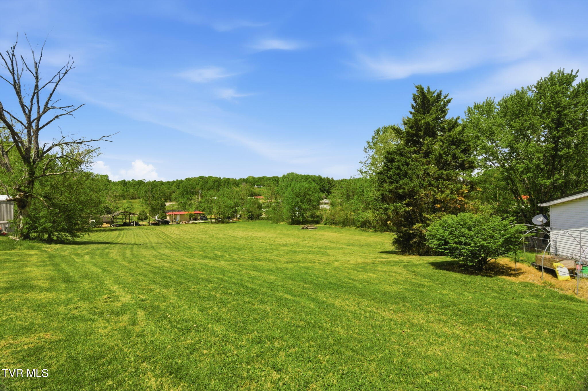 150 Carlton Ridge Lane Greeneville, TN 37745 - Photo 9 of 34 9-web-or-mls-DZ3A1777