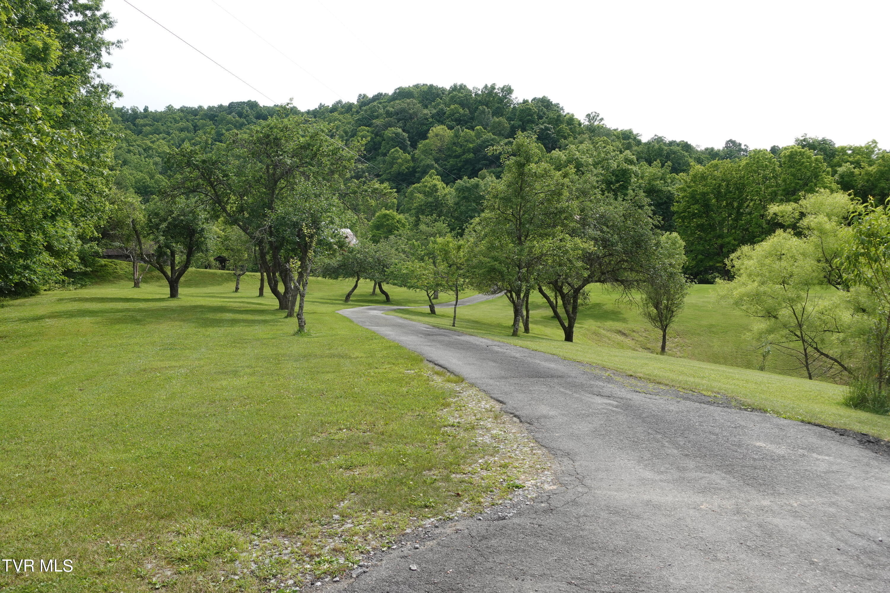 639 Dream Farm Road Birchleaf, VA 24220 - Photo 72 of 153 DSC00271