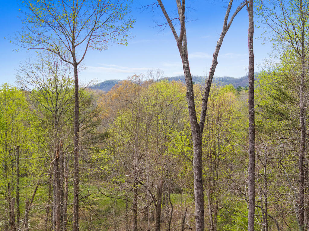 1134 Maggie Chapman Road Blue Ridge, GA 30513 - Photo 2 of 25 Gallery Image 2