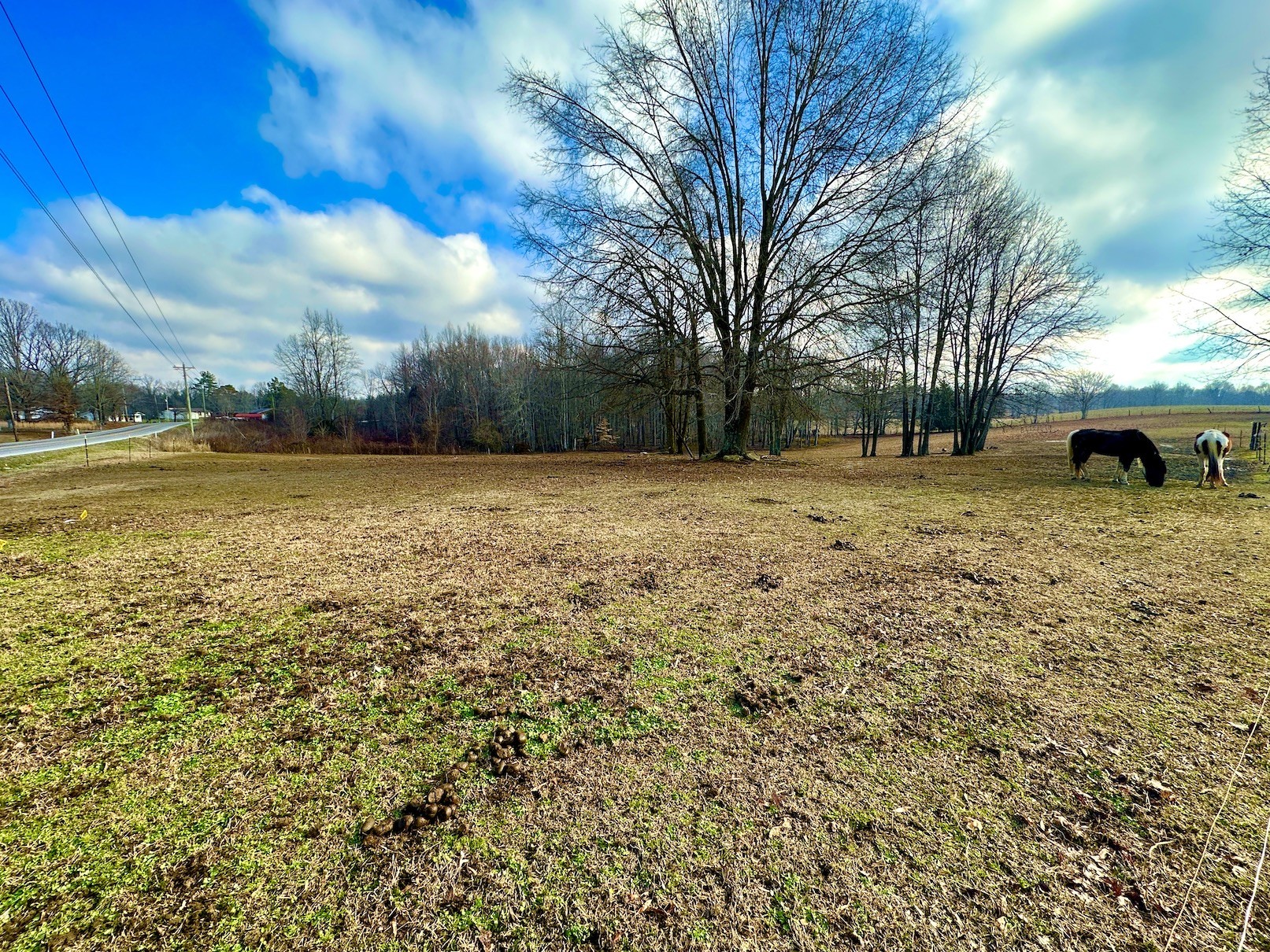 0 Iconium Road Woodbury, TN 37190 - Photo 5 of 5 Gallery Image 5