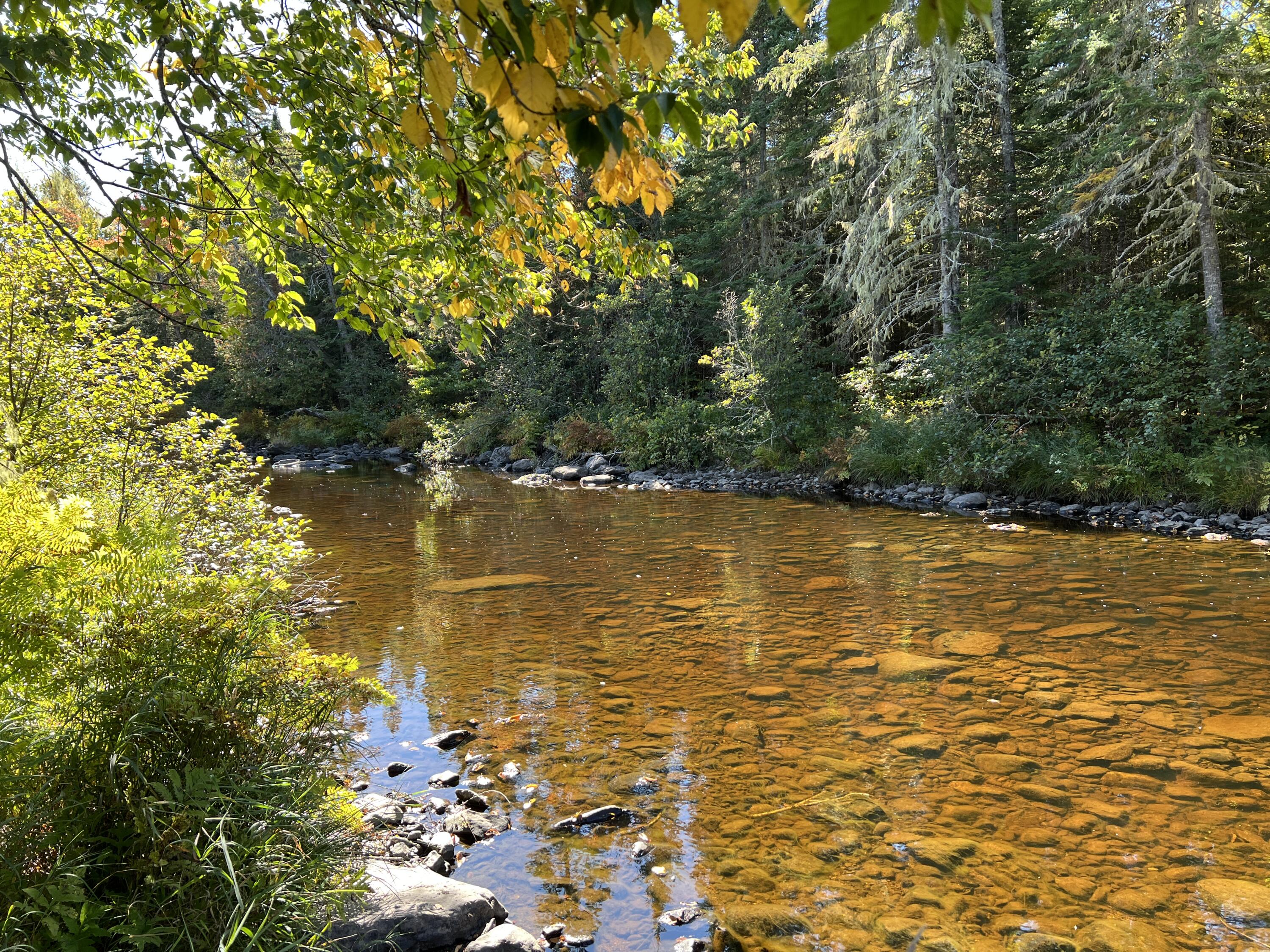 Lot 1 Church Road Oxbow, ME 04764 - Photo 3 of 19 IMG_3662