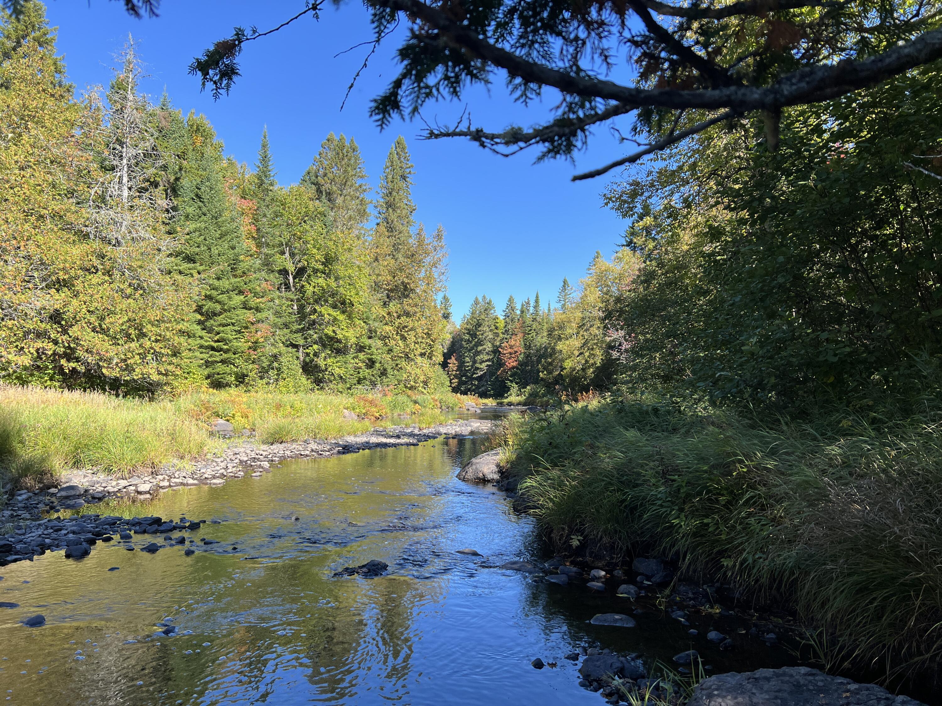 Lot 1 Church Road Oxbow, ME 04764 - Photo 5 of 19 IMG_3665