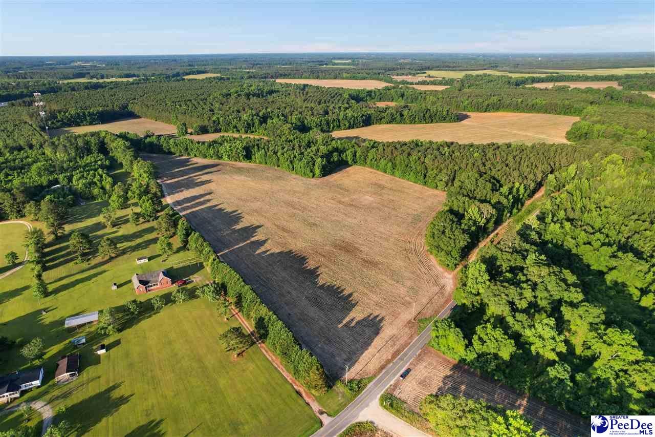 Lot 2-tbd Windham Town Road Lamar, SC 29069 - Photo 3 of 14 Gallery Image 3