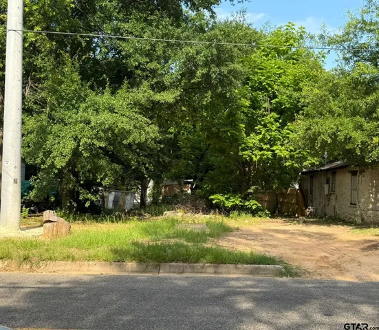 a view of a yard with plants and trees