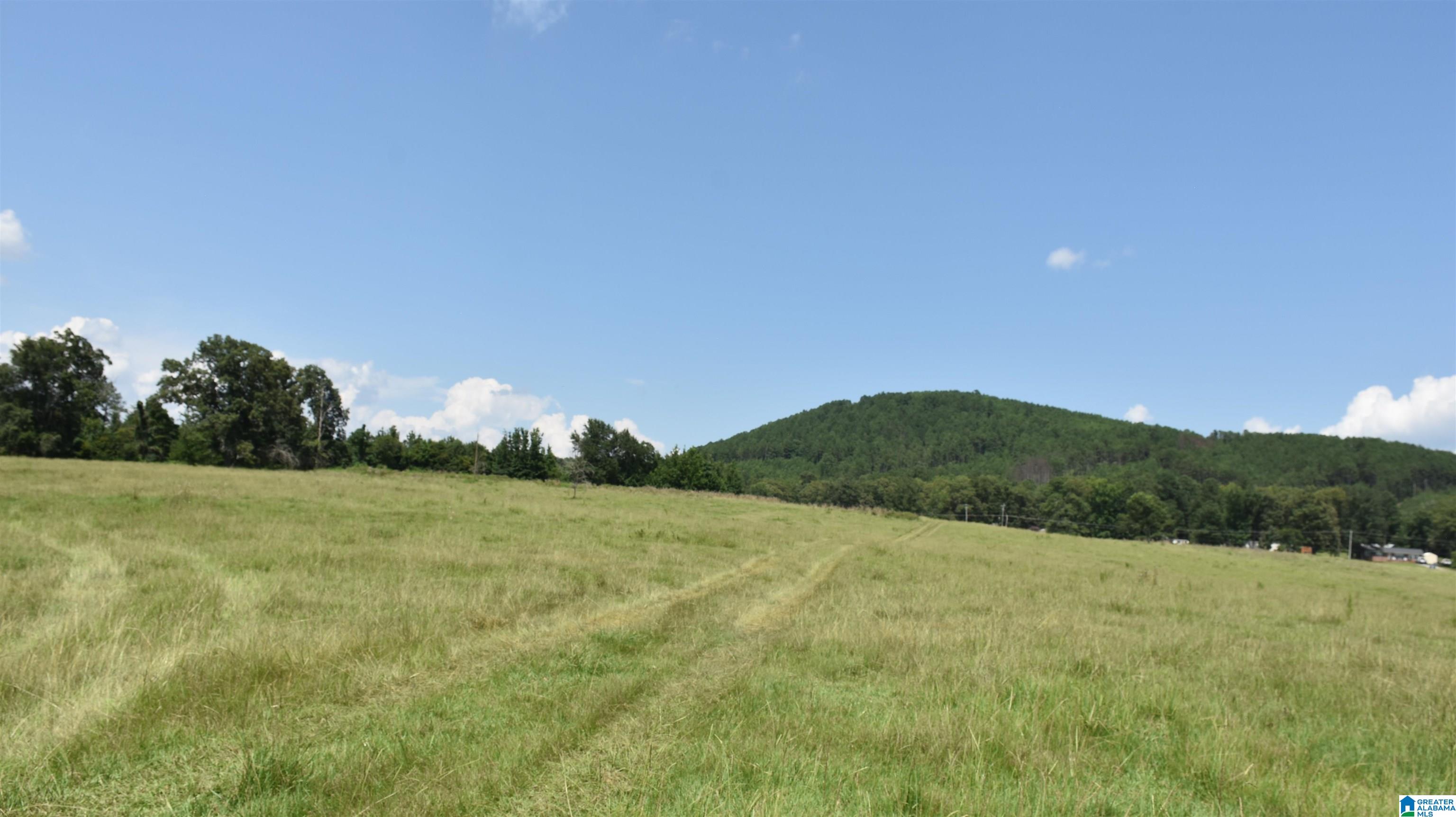 0 Risers Mill Road Alpine, AL 35014 - Photo 14 of 25