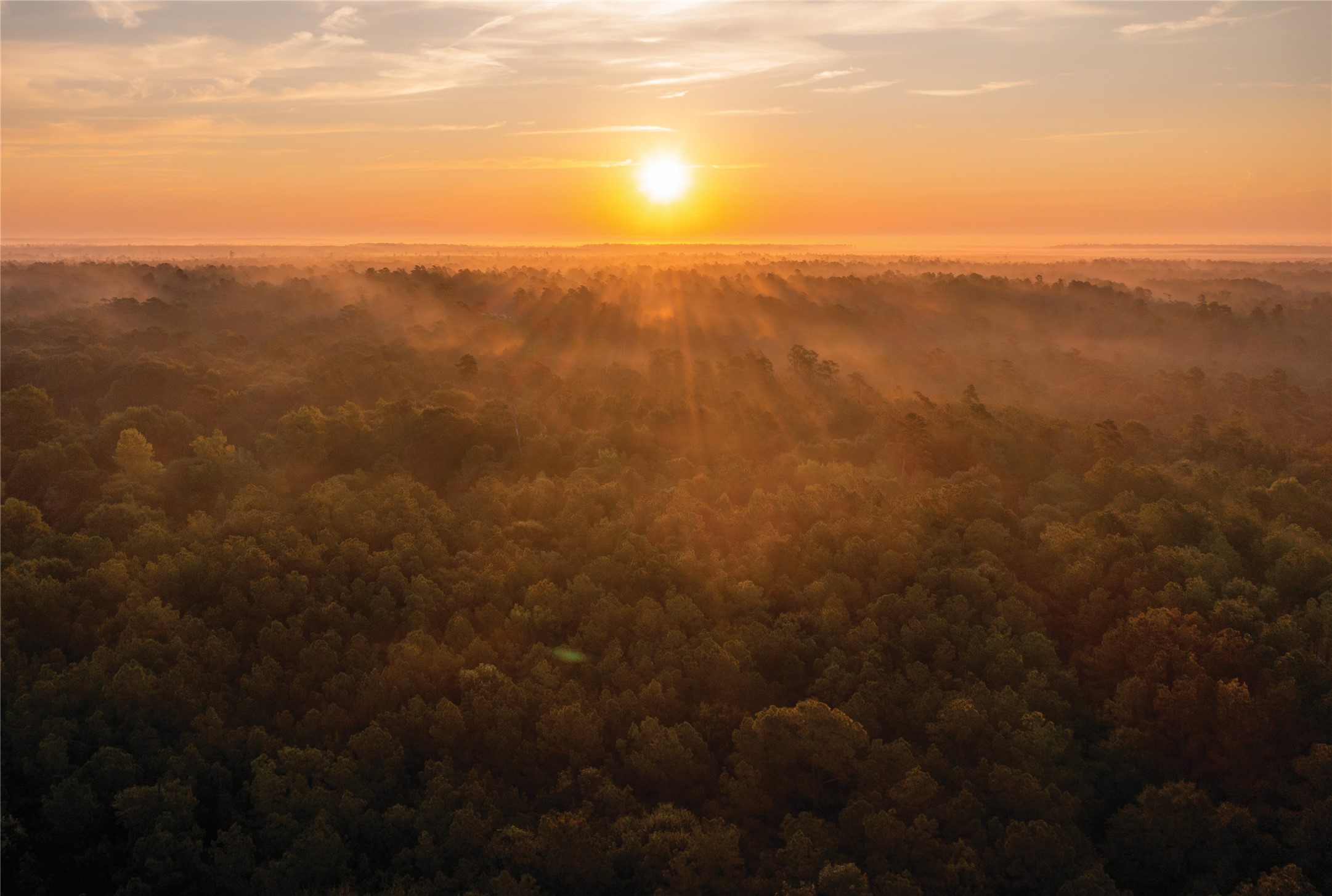 16062 Four Hills Road Willis, TX 77378 - Photo 16 of 18