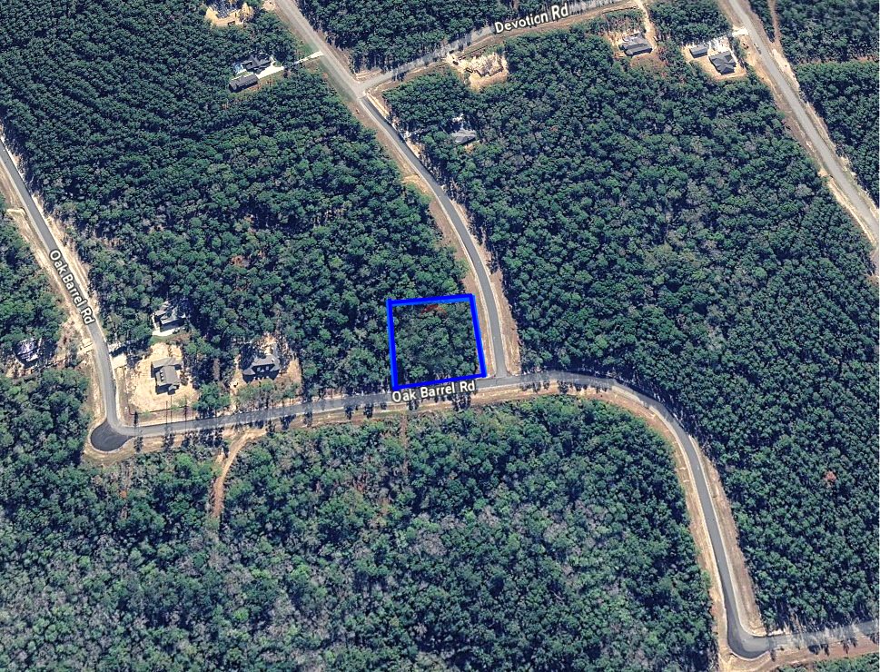 16062 Four Hills Road Willis, TX 77378 - Photo 3 of 18