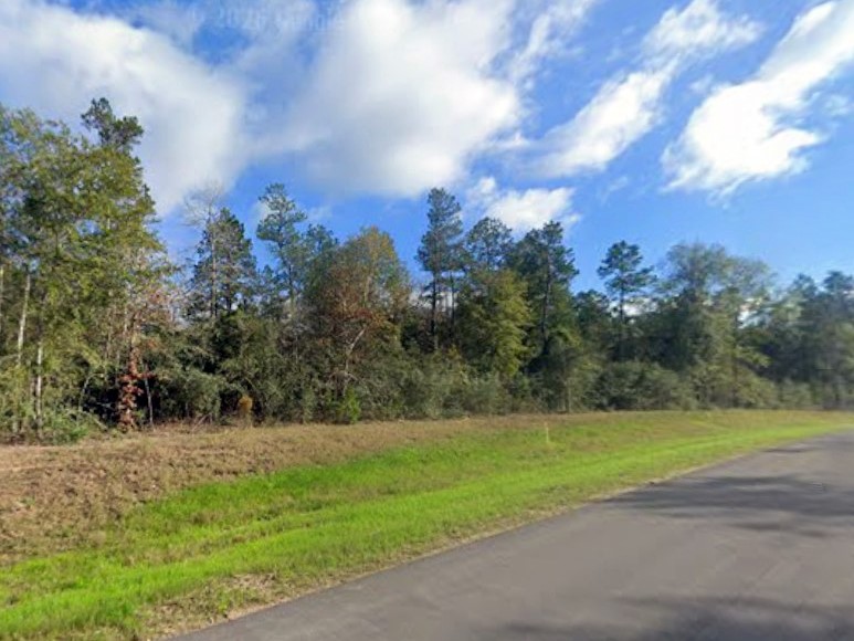 16062 Four Hills Road Willis, TX 77378 - Photo 4 of 18