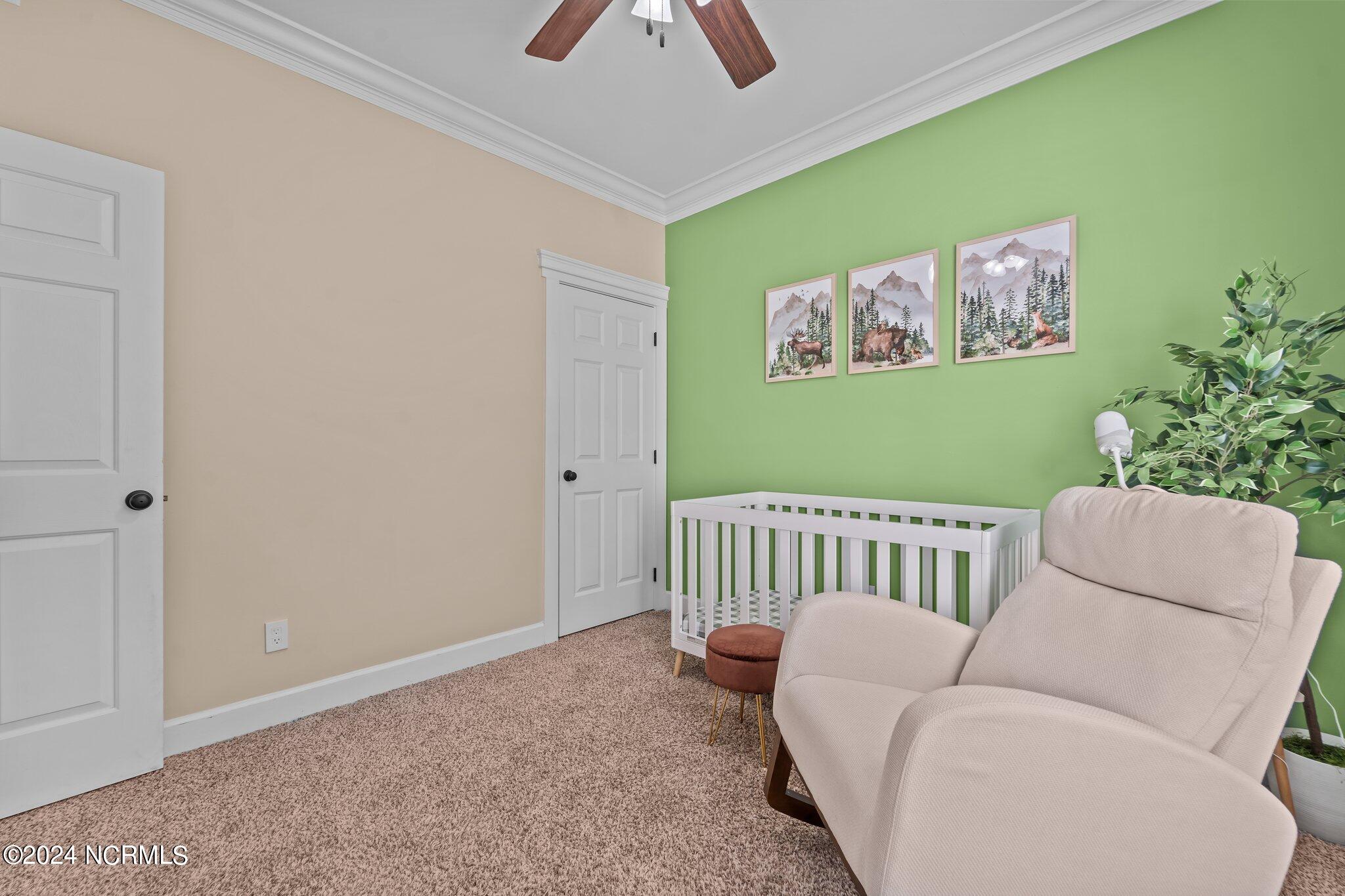 133 Rothbury Drive Carthage, NC 28327 - Photo 22 of 30 24-web-or-mls-DSC02486