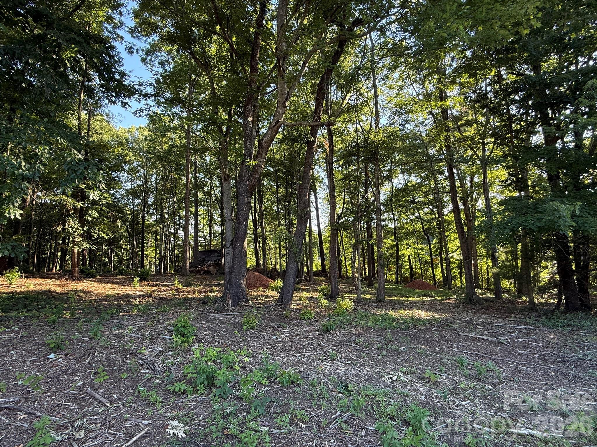 567 Legion Road Lenoir, NC 28645 - Photo 1 of 4 a view of outdoor space with trees