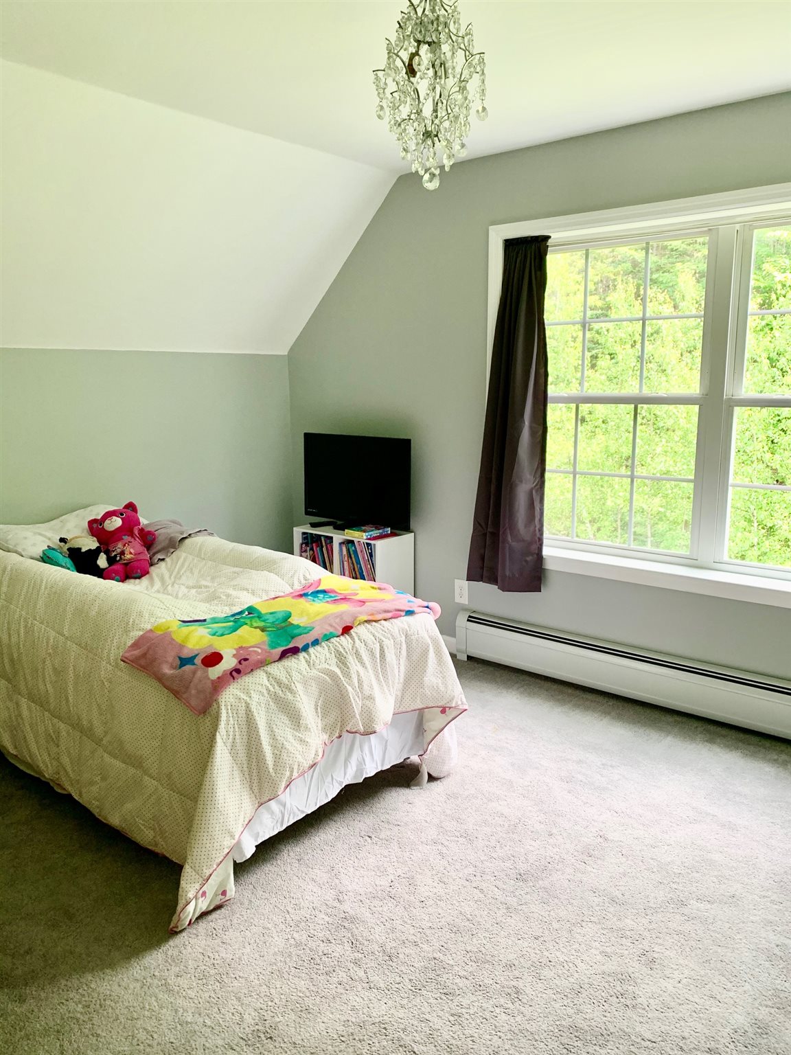 2026 Bog Road Springfield, NH 03753 - Photo 20 of 25