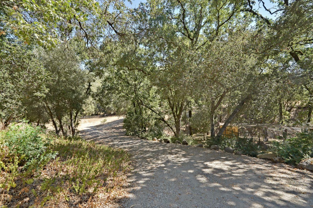 5000 Hecker Pass Road Gilroy, CA 95020 - Photo 63 of 100 a view of outdoor space and yard