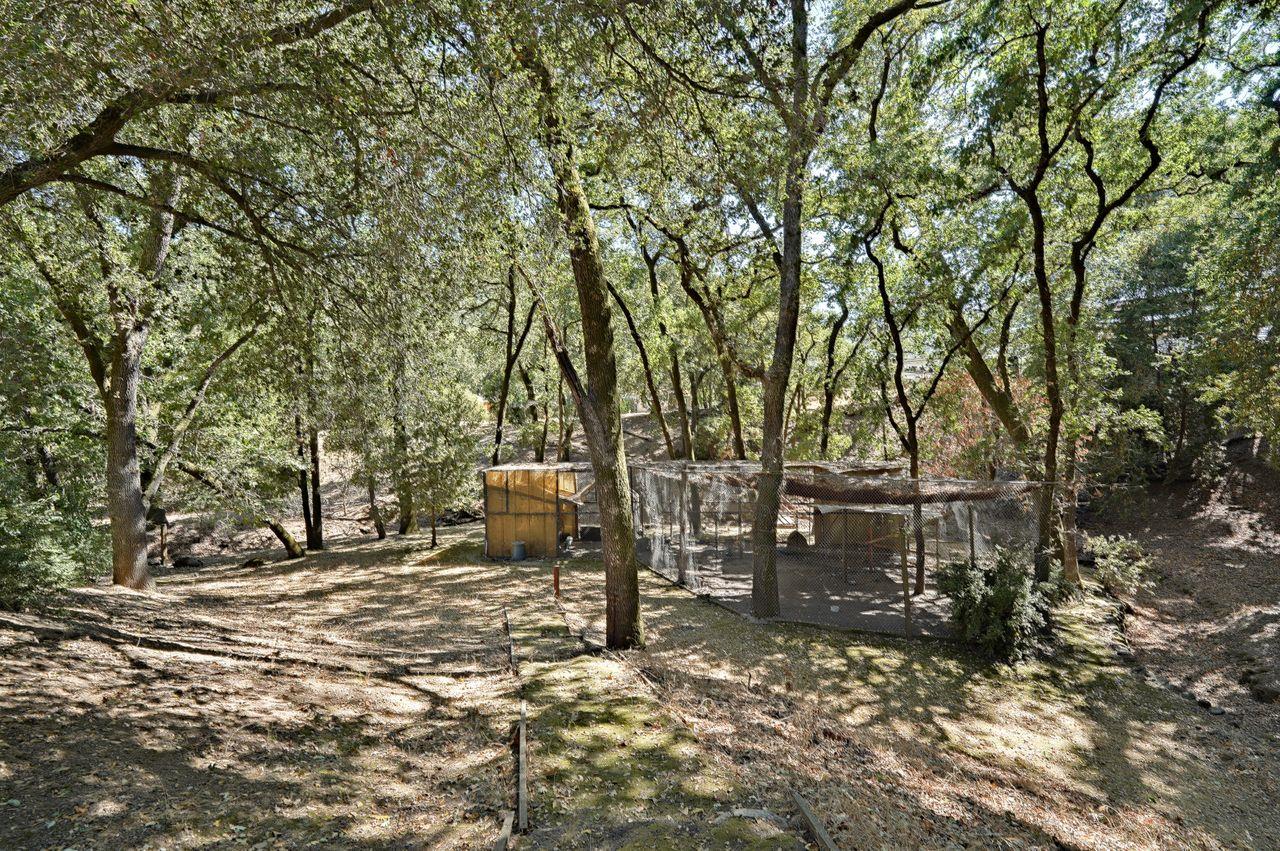 5000 Hecker Pass Road Gilroy, CA 95020 - Photo 64 of 100