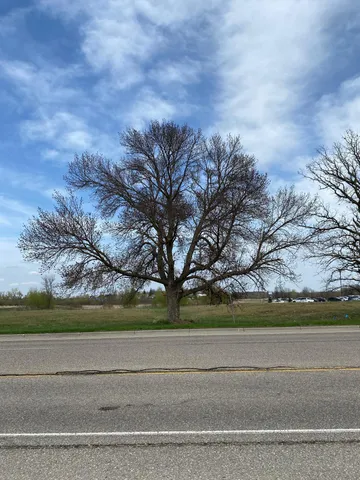 $575,000 | 4-xxx Dakota Street, Alexandria, MN 56308