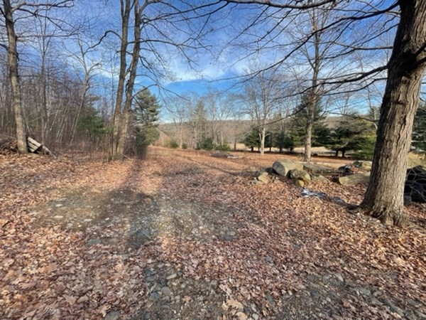 0 North Road Hampden, MA 01036 - Photo 11 of 11 Gallery Image 11