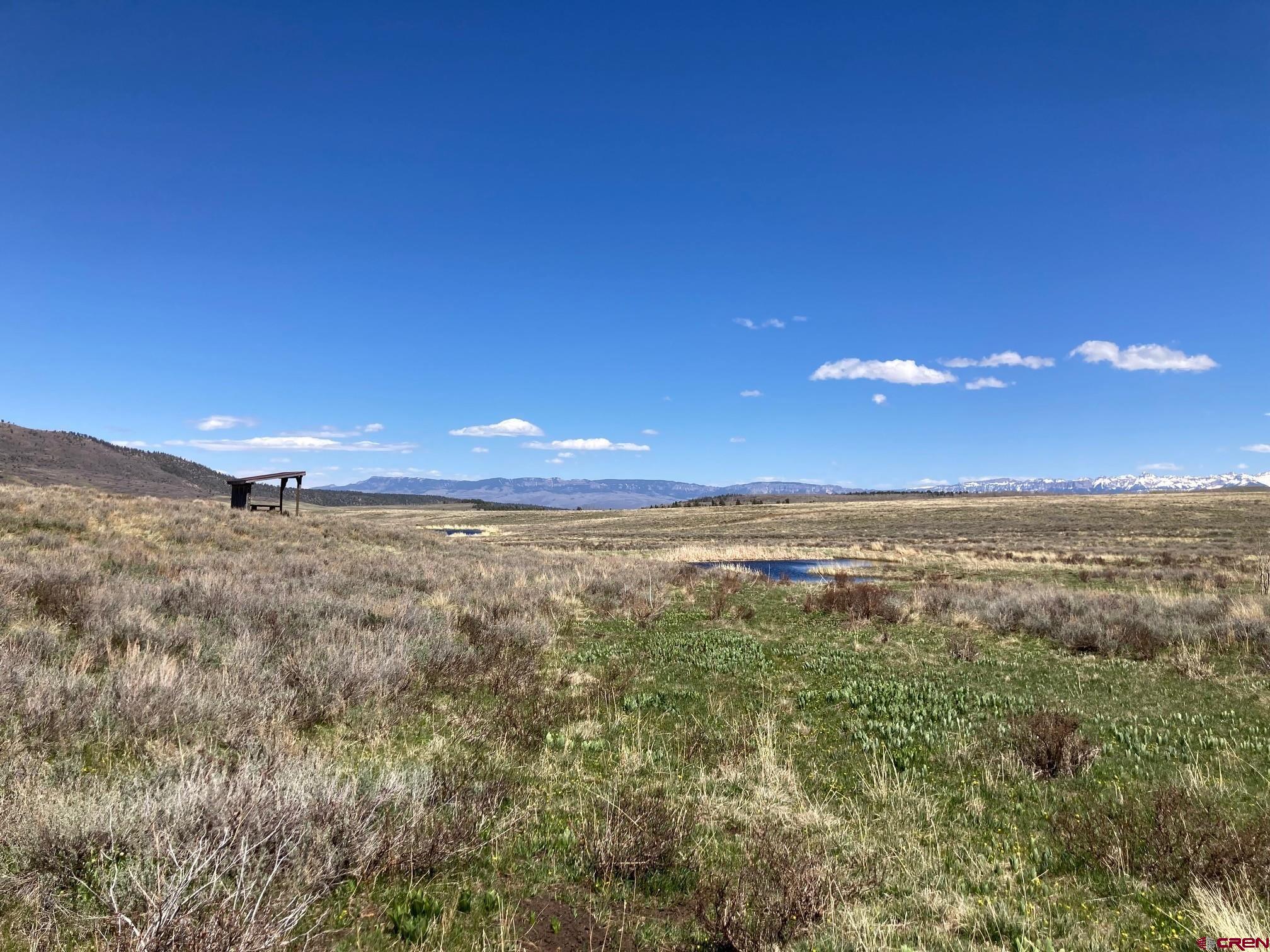 Lot 14 62x Road Placerville, CO 81430 - Photo 6 of 11