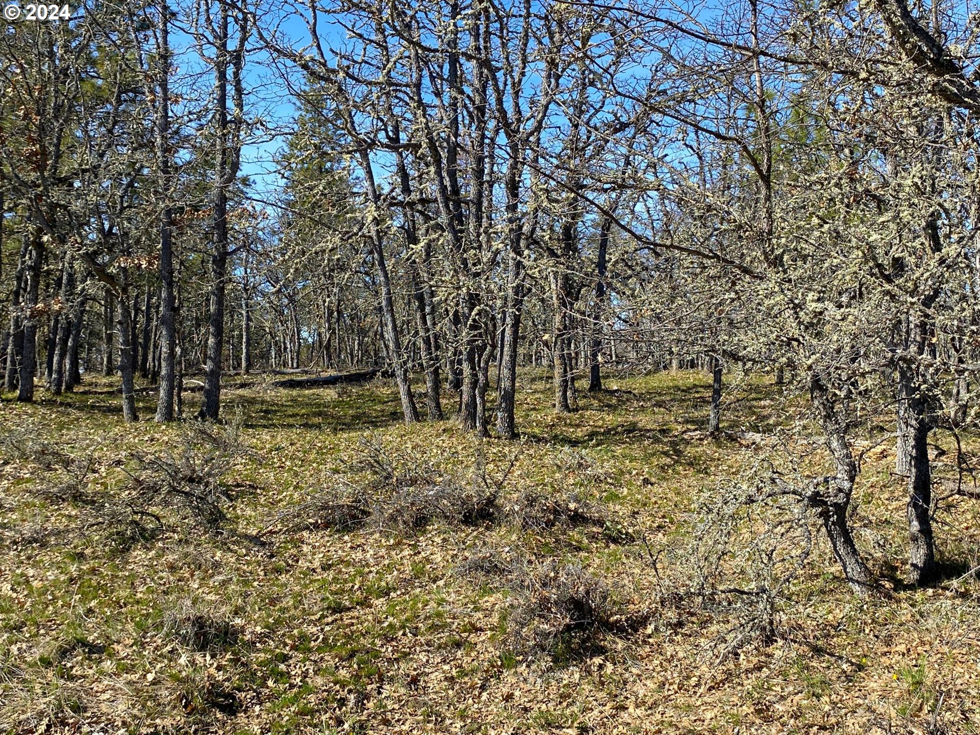 D Pine Road Goldendale, WA 98620 - Photo 23 of 26 Gallery Image 23