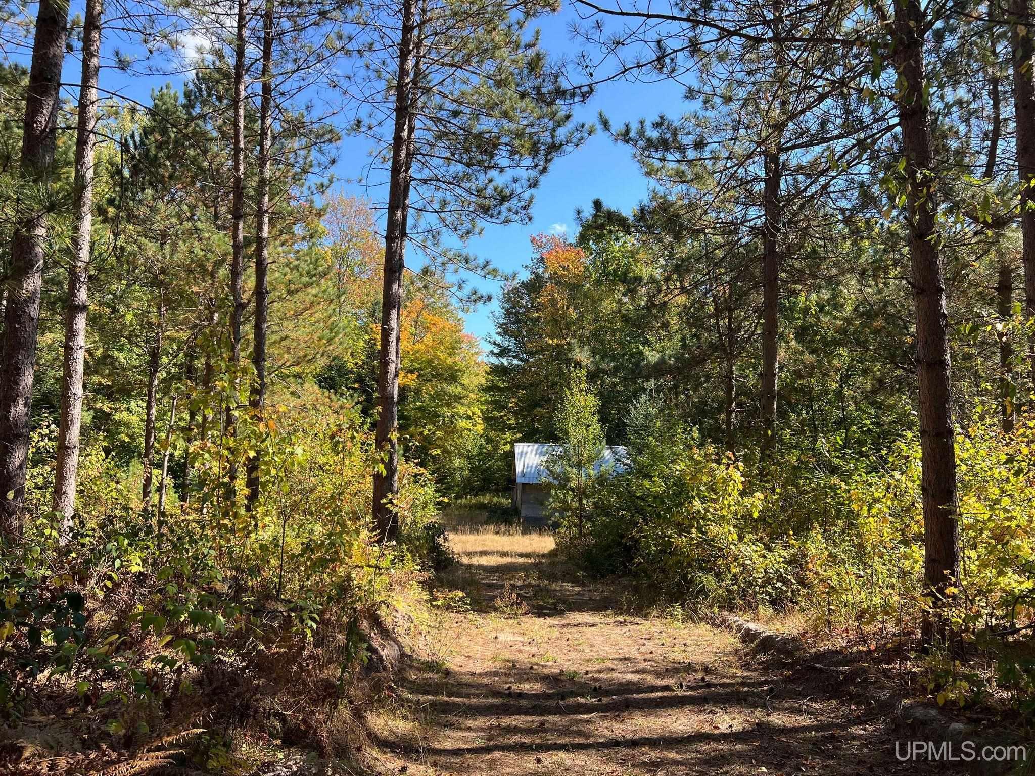 Off Usfs Trail, Unit 2440 Wetmore, MI 49895 - Photo 23 of 34