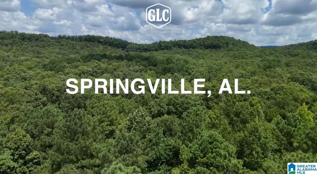 200 Daphne Road, Unit 1 Springville, AL 35146 - Photo 2 of 10