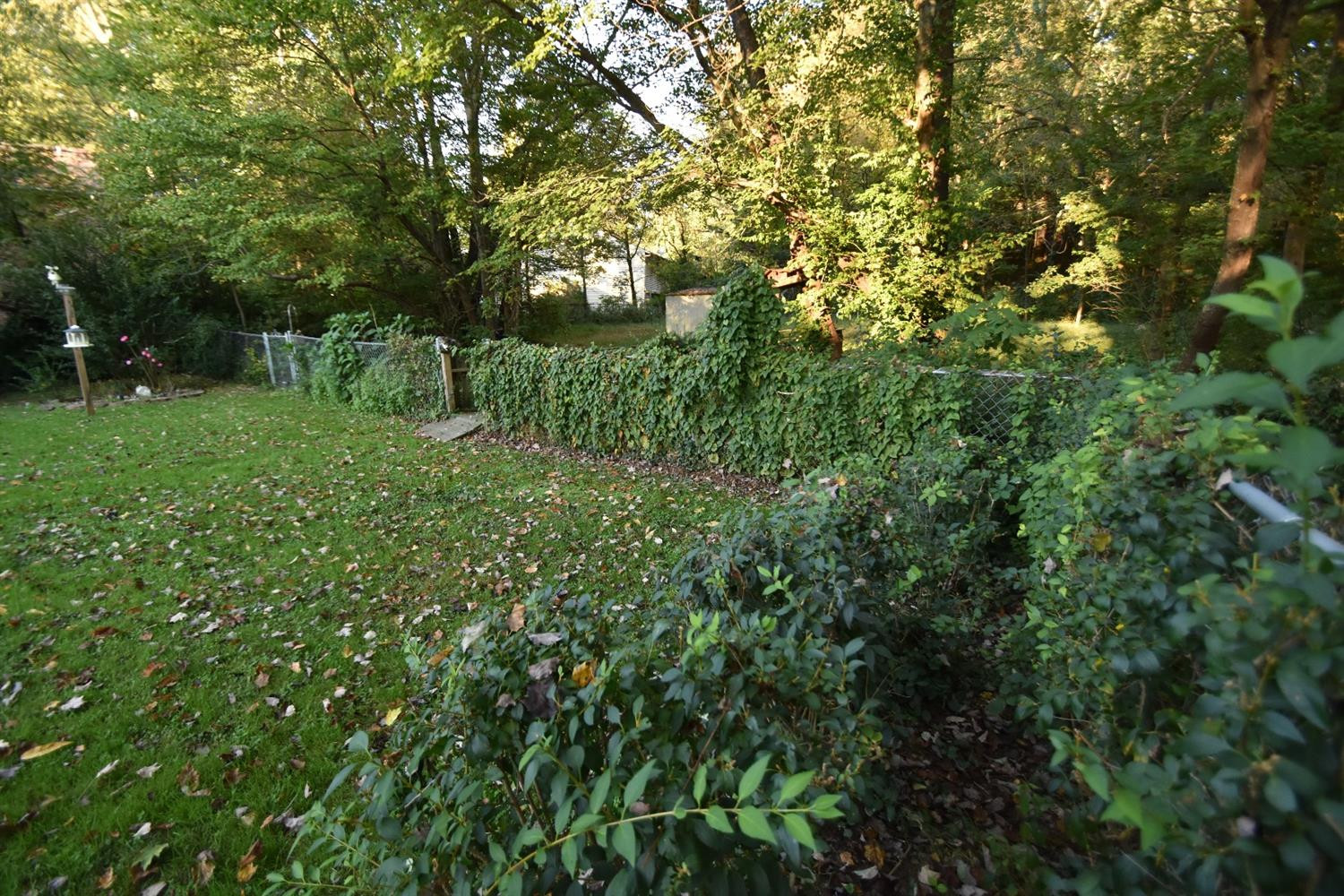 512 Scaffold Cane Road Berea, KY 40403 - Photo 5 of 19 Photo 5