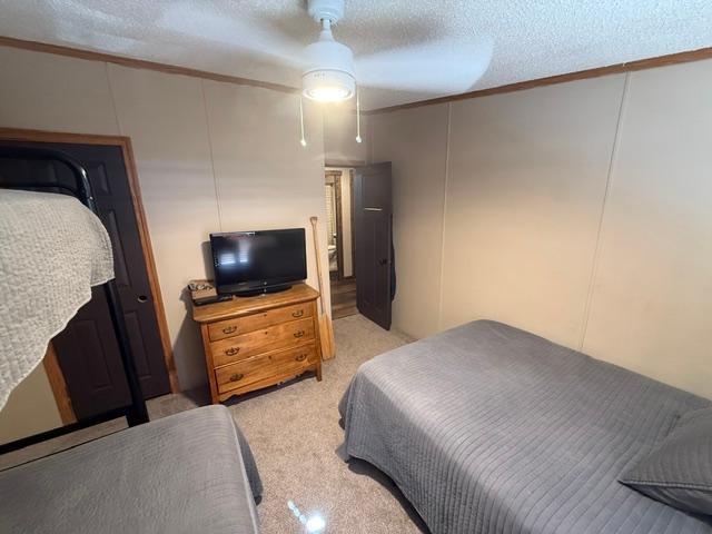21226 Gull Lake Loop Road Northeast Tenstrike, MN 56683 - Photo 22 of 27 Gallery Image 22