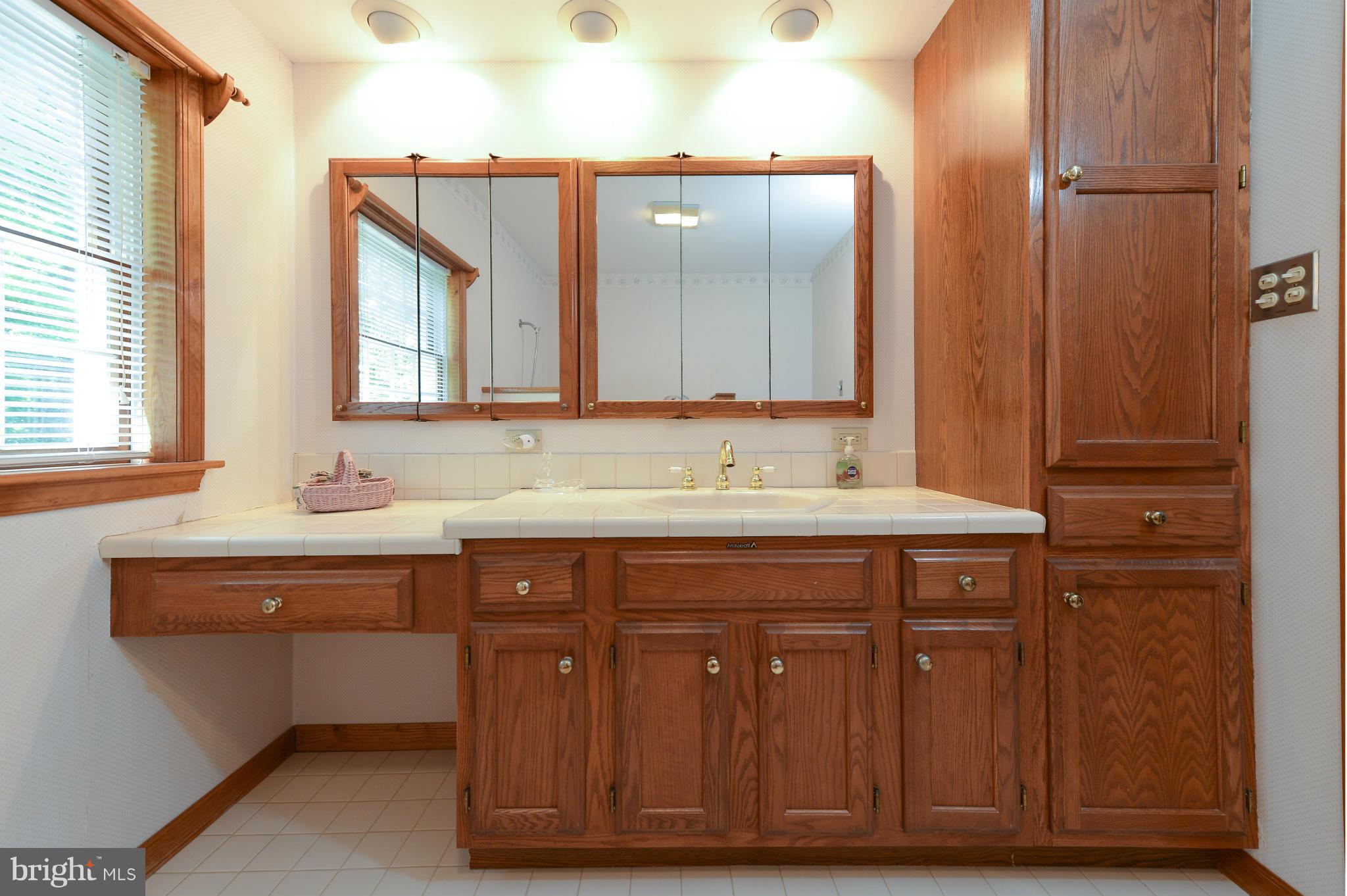 1657 Elk Forest Road Elkton, MD 21921 - Photo 17 of 30 Bath (Master)