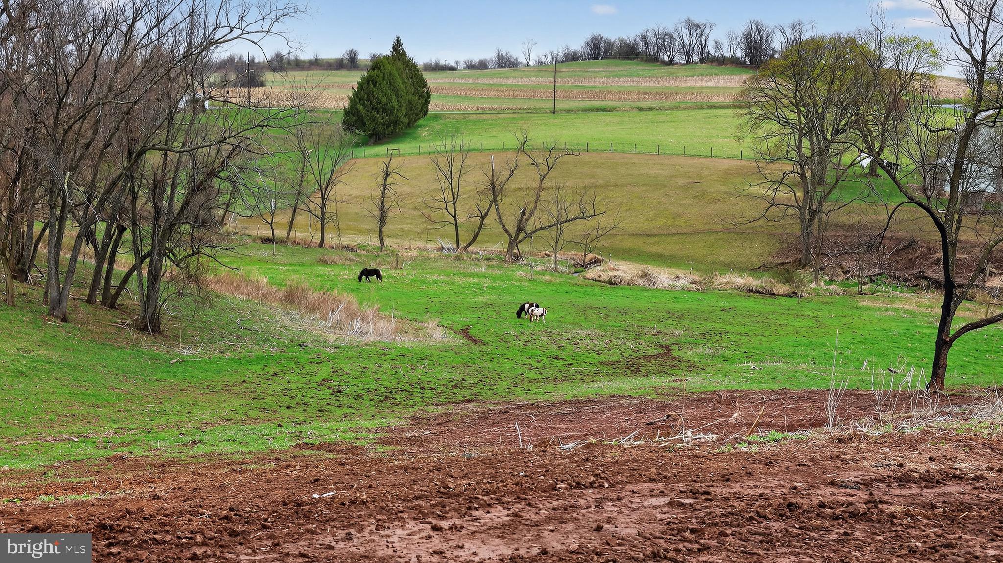 350 Middle Road Millersburg, PA 17061 - Photo 39 of 74