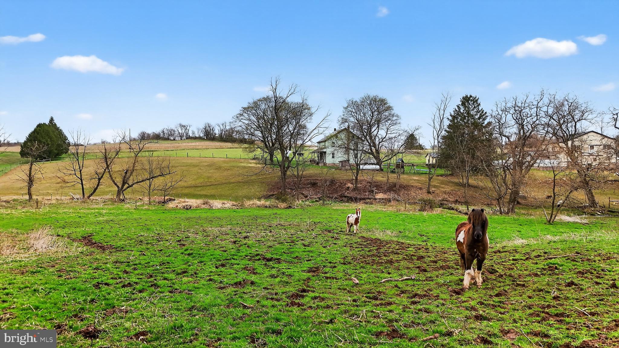 350 Middle Road Millersburg, PA 17061 - Photo 56 of 74