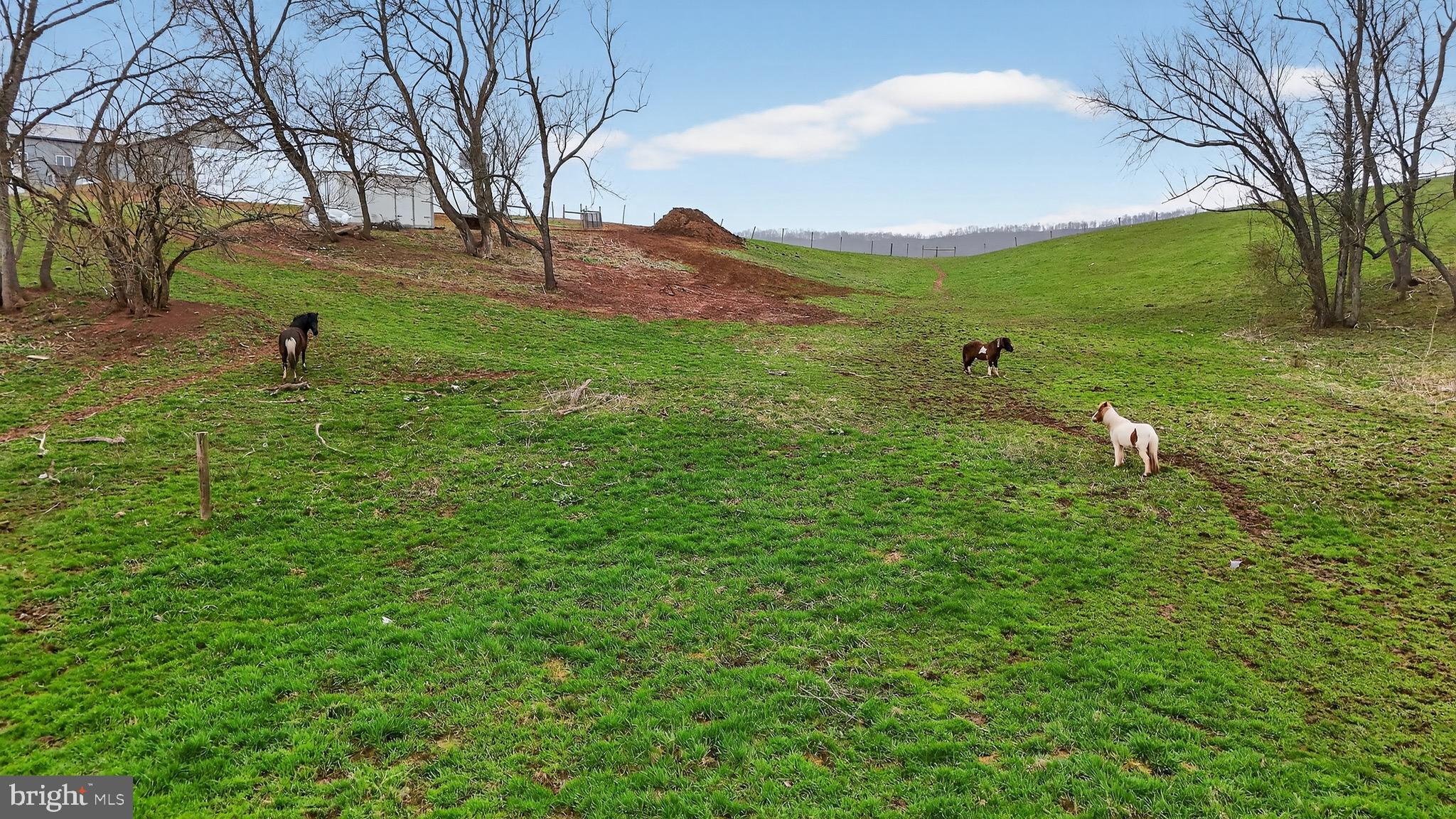350 Middle Road Millersburg, PA 17061 - Photo 58 of 74