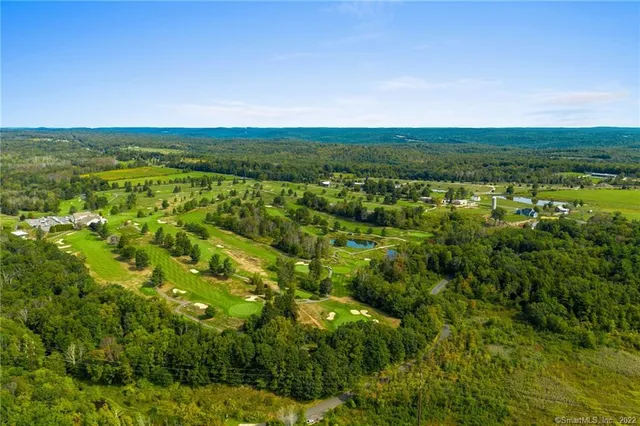 a view of a yard with large trees