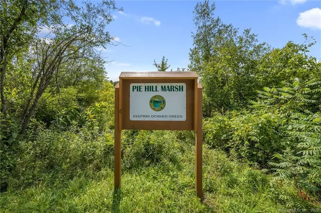 a view of a lake from a yard