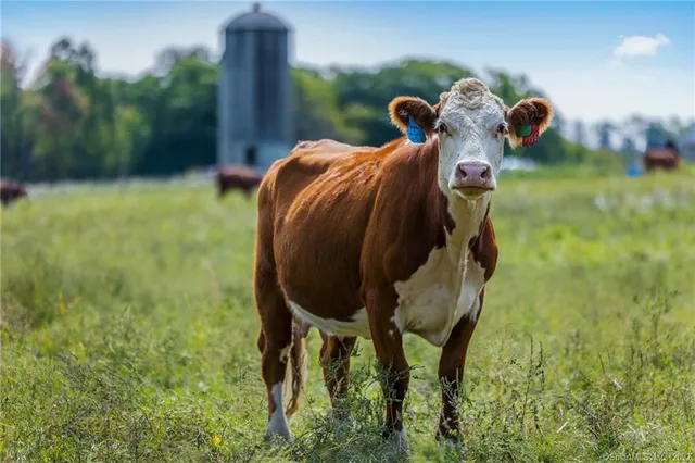 $130,000 | 14 Meadow Crest North, Goshen, CT 06756