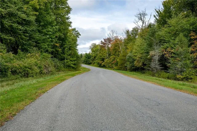 a view of a big yard with plants and large trees