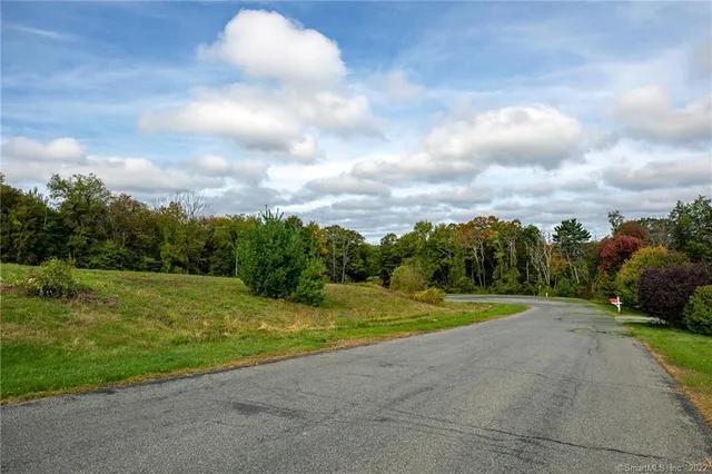 a view of a big yard with large trees