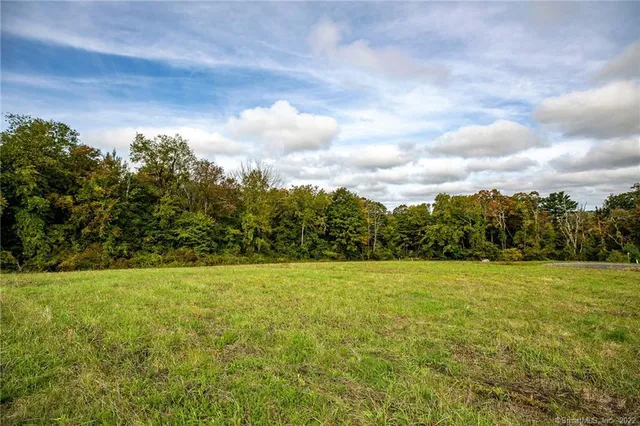 a view of an outdoor space and yard