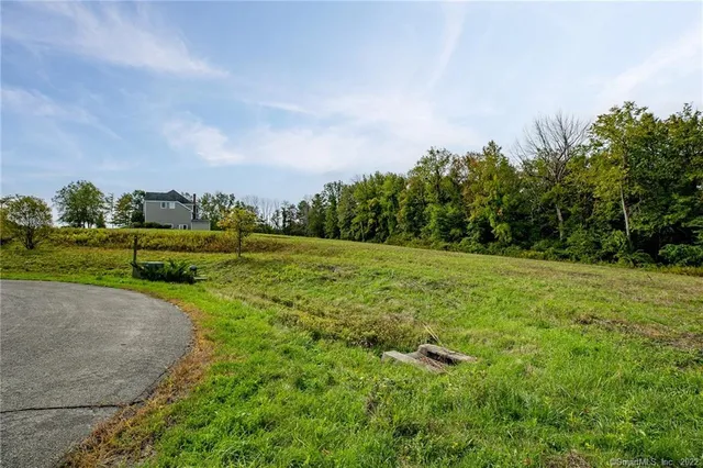 a view of a yard with large trees